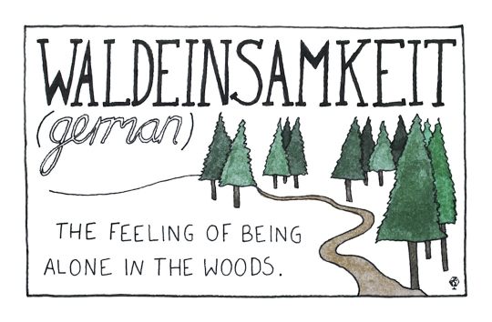 German Waldeinsamkeit - untranslatable words from around the world
