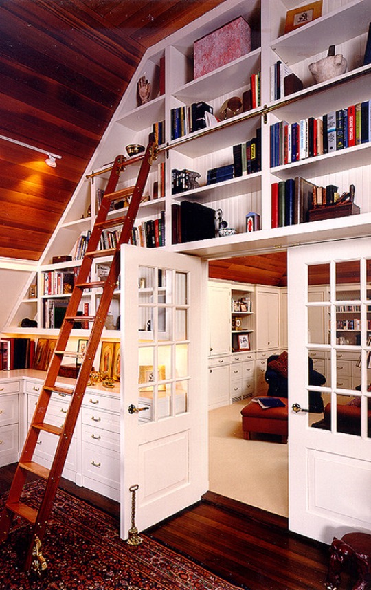 Home library ideas - Home office and study room
