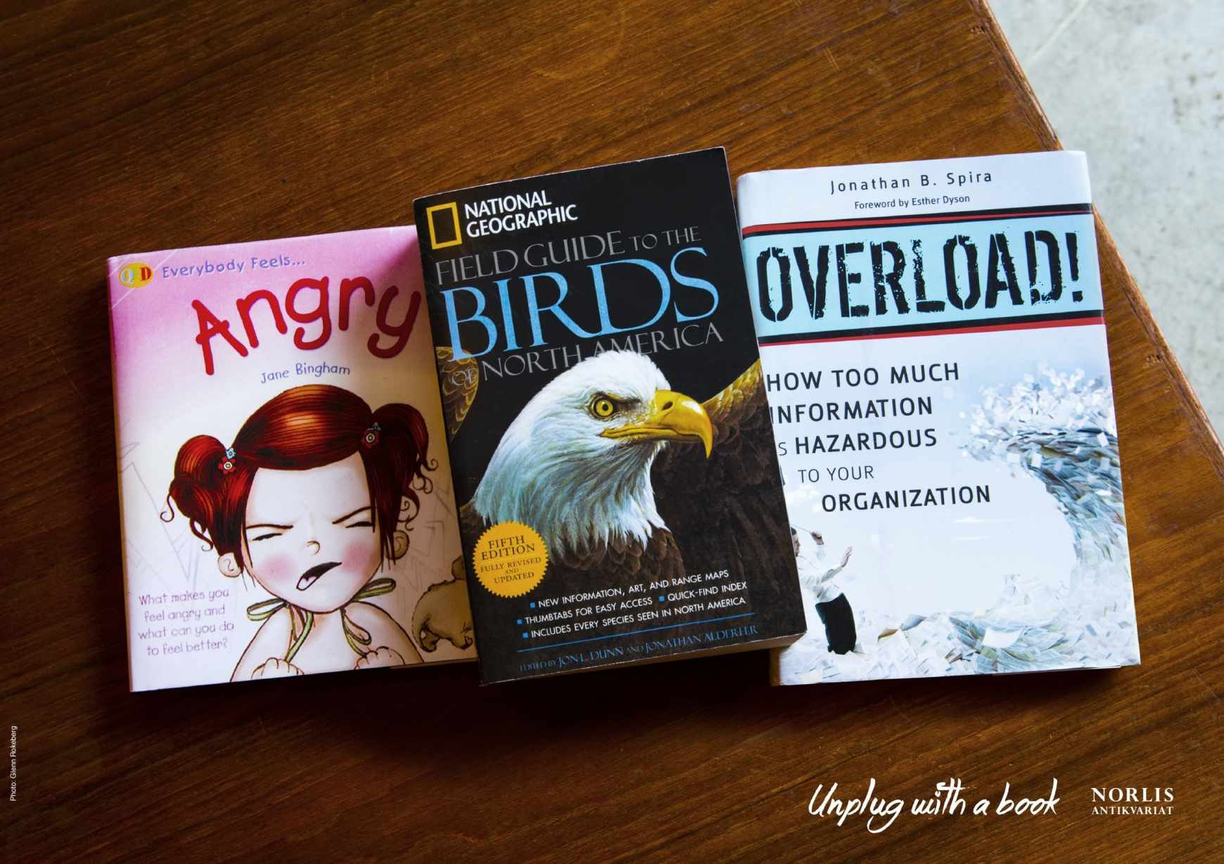 Norlis Bookstore - Unplug with a book - Angry Birds