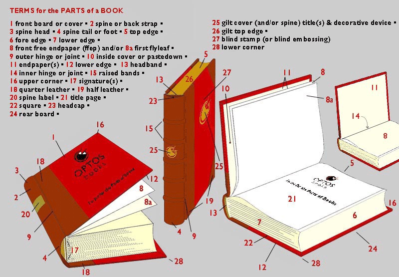 Book diagrams - terms for the parts of a book