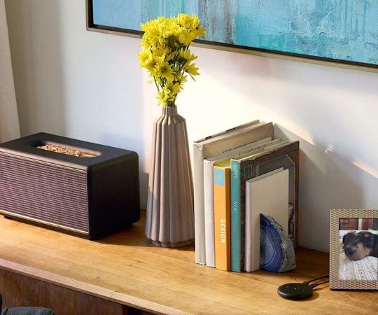 Top tech gifts - Amazon Echo Input